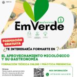 EL APROVECHAMIENTO MICOLÓGICO Y SU GASTRONOMÍA