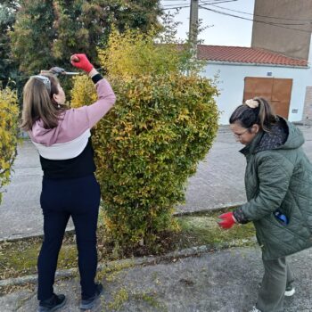 Evoluciona EmVerde desarrolla en Torrejoncillo su formación en desbroces y podas