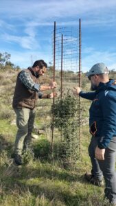 Evoluciona en Verde impulsa la capacitación en gestión forestal sostenible en Calzadilla de los Barros